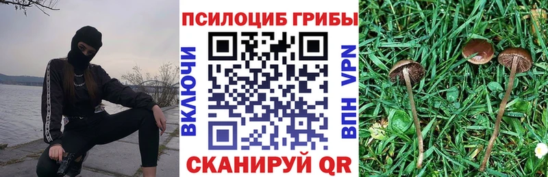 где продают наркотики  Вологда  Галлюциногенные грибы GOLDEN TEACHER 