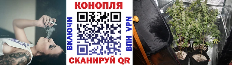 даркнет сайт  Вологда  Шишки марихуана семена 